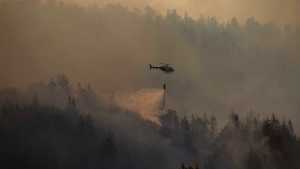 Incendio en El Bolsón: «Queremos el máximo rigor para que haya consecuencias»