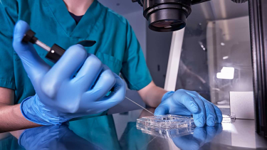 Acusaron a un donante de espermas de tener más de 550 hijos. 