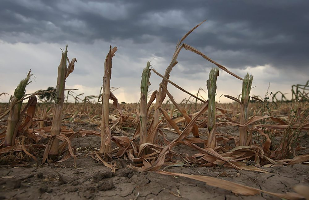 Seis décadas. El tiempo en que no se registraba una sequía como la que tiene lugar en 2023.