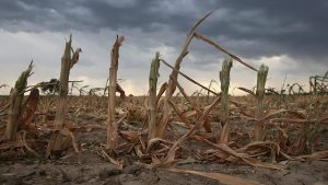 La sequía generará una pérdida superior a los u$s 20.000 millones en 2023