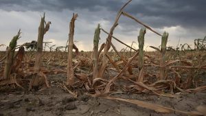 Decretado: la Bolsa de Comercio de Rosario dio por terminada la sequía