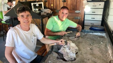 Laboratorio. Con restos de una tortuga de 80 millones de años. 