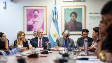 Aníbal Fernández expuso ante la Comisión de Seguridad Interior sobre las políticas que se están llevando a cabo en su cartera desde su asunción al cargo. (Twitter).-