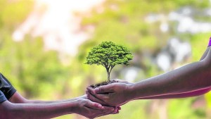 Naturaleza y hábitat…SOS