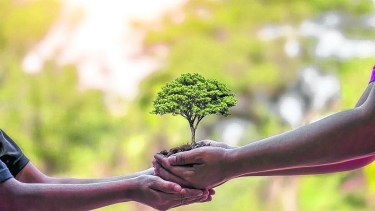 Naturaleza y hábitat…SOS