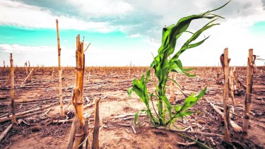 La sequía hundió las exportaciones y el déficit comercial trepó a U$S 1.154 millones en mayo