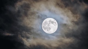 Luna llena en Virgo: cómo afectará a cada signo y los cambios que se vienen