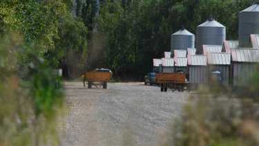 El Ministerio de Economía decidió dictar la emergencia para varios departamentos del este y norte de Neuquén., por la gripe aviar.  Foto: Juan Thomes. 