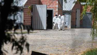 Los trabajadores de Pollolin se manifestarán en el puente carretero.