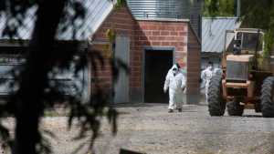 Gripe aviar en Río Negro: Arabela Carreras se reúne con Sergio Massa