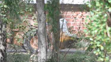 Dos focos de gripe aviar en granjas comerciales, azotan a la localidad de Mainqué.  Foto: Juan Thomes (Archivo)