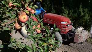 Por la crisis y las crecidas, año difícil para la fruticultura