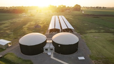 Los motores están ubicados en Estancias San Lino, Chivilcoy. Foto: gentileza. 