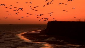 El destino para un fin de semana, al que podés ir muy fácil desde Viedma y con alojamientos de tan solo $3500 la noche