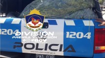 Imagen de Allanamientos en Neuquén: secuestraron armas de fuego y varias plantas de cannabis