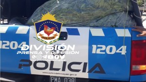 Allanamientos en Neuquén: secuestraron armas de fuego y varias plantas de cannabis