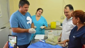 Gaido participó en la cirugía de un gato: qué dijo el Colegio de veterinarios de Neuquén