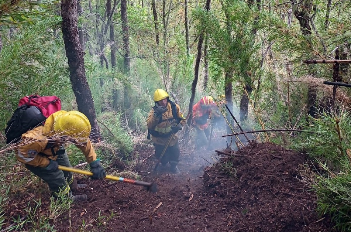 Siguen trabajando los brigadistas, pero no medios aéreos por la poca visibilidad. Foto: Gentileza.