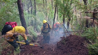 Intendentes de Neuquén contra el decreto de Milei que pone en riesgo a los brigadistas del Parque Lanin 