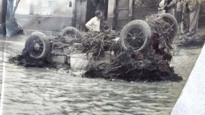 Los árboles que salvaron a Neuquén de las lluvias
