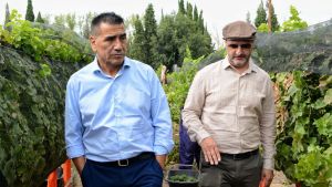 Elecciones en Neuquén: Ramón Rioseco propone potenciar la vitivinicultura