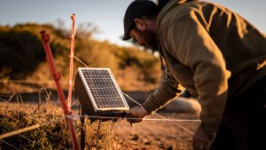 Vacas vivas: Nación entregó boyeros solares en 11 provincias