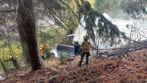 Un incendio interfase causó mucha preocupación en la zona oeste de Bariloche