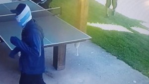 Filmó a los que fueron a robar a su casa en Villa la Angostura