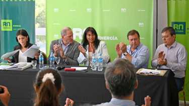La secretaria de Hidrocarburos Mariela Moya, el vicegobernador Alejandro Palmieri, la secretaria de Energía Andrea Confini, el senador Alberto Weretilneck  y el diputado nacional Pedro Dantas. (Florencia Salto) 