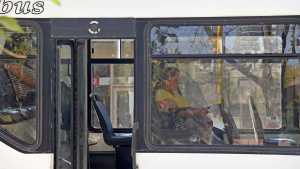 Subsidios al transporte: oficializaron la renuncia voluntaria, qué dice la resolución