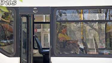 Ya es oficial la renuncia voluntaria a los subsidios al transporte: qué dice la resolución. 