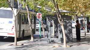 Las falencias en el transporte urbano de Cipolletti: aumenta el boleto, pero el servicio no mejora