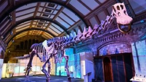 Dinosaurio mundial: uno de los más grandes de la Patagonia en el Museo de Londres