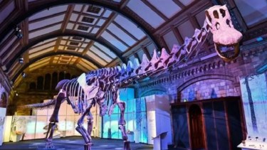 El Patagotitan sería uno de los más grandes ejemplares. Foto: https://www.bbc.com/mundo/noticias-65120225