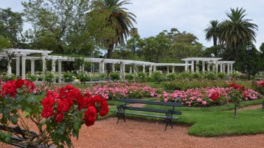 Neuquén: “Pulmones Verdes” eran los de antes