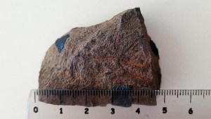 Importante hallazgo: Encuentran en Neuquén una estrella que vivió hace 193 millones de años