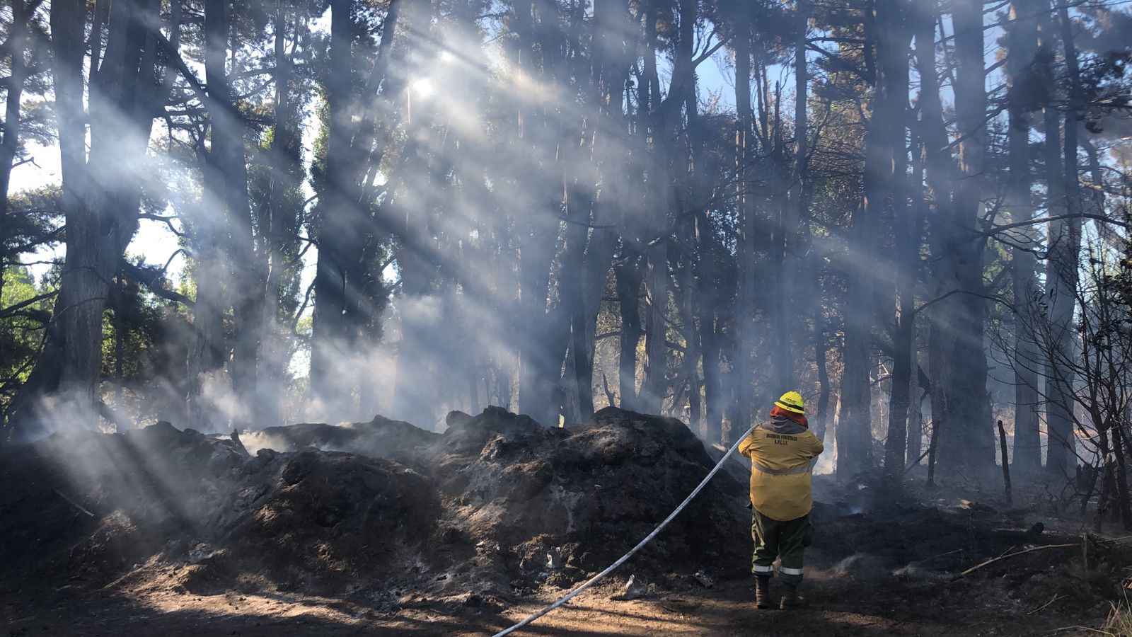 En Bariloche, detrás de la empresa Invap, se desató el incendio más crítico del verano, con riesgo para la población. Foto: Archivo/Chino Leiva
