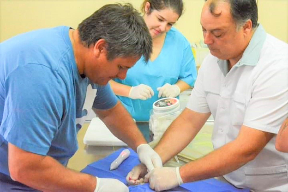 Gaido participó de la cirugía de castración de un gato y se transmitió en vivo. (Gentileza).-