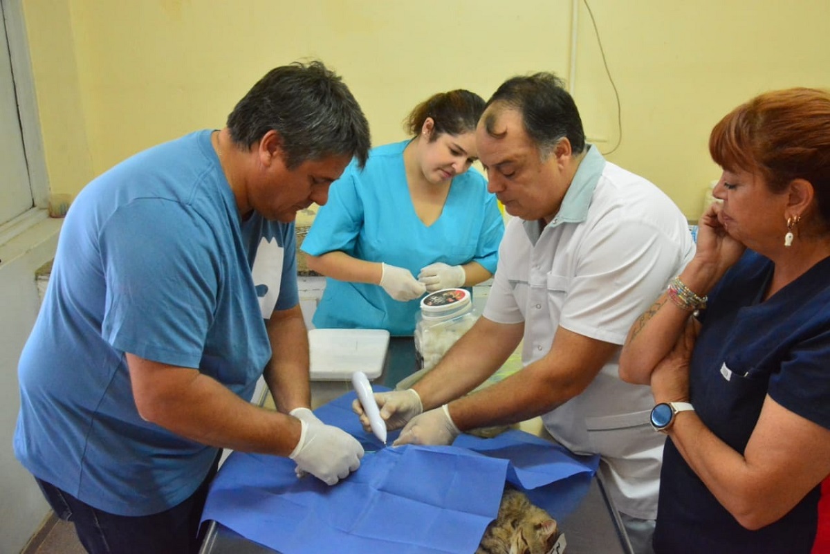 El intendente participó de la castración de un felino en Bienestar Animal. Foto: gentileza.