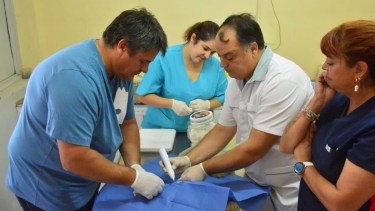 El intendente participó de la castración de un felino en Bienestar Animal. Foto: gentileza.