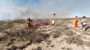 Brigadistas combaten un incendio de campos al norte de Puerto Madryn