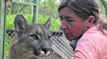 Imagen de La historia de Kai Pacha, la mujer que protege a los pumas