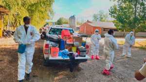 Pasó de nuevo: otro positivo de gripe aviar en una granja comercial de Mainqué