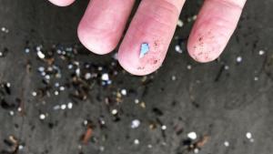 Nadando en plástico: advierten que los océanos sufren la presencia de 170 billones de fragmentos