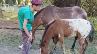 Nehuen tiene 15 años y sufre de una enfermedad que le deformó su columna vertebral. Foto; facebook