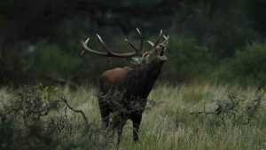 Tres escapadas para descubrir la Pampa profunda, una propuesta cerca