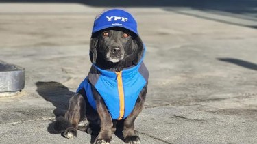 La perrita posó con el chaleco que le regaló una vecina de Río Gallegos y la gorra de los playeros en la estación de Río Gallegos. 