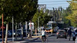 Maltrato animal en Plottier: los imputaron por atar y arrastrar a un perro varias cuadras