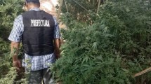 Imagen de Secuestran cocaína, marihuana y un arma en una casa de Neuquén, hay cuatro detenidos