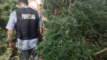 Secuestran cocaína, marihuana y un arma de fuego en una vivienda de Neuquén 